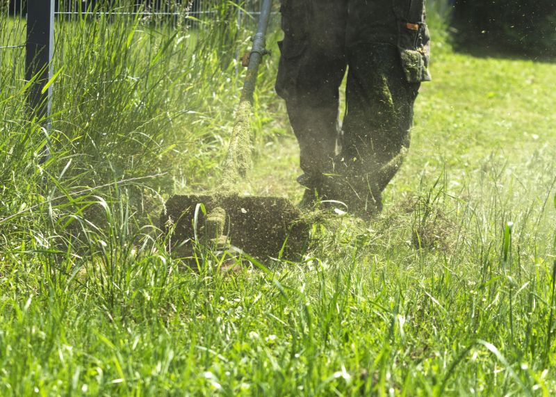 Brush Mowing