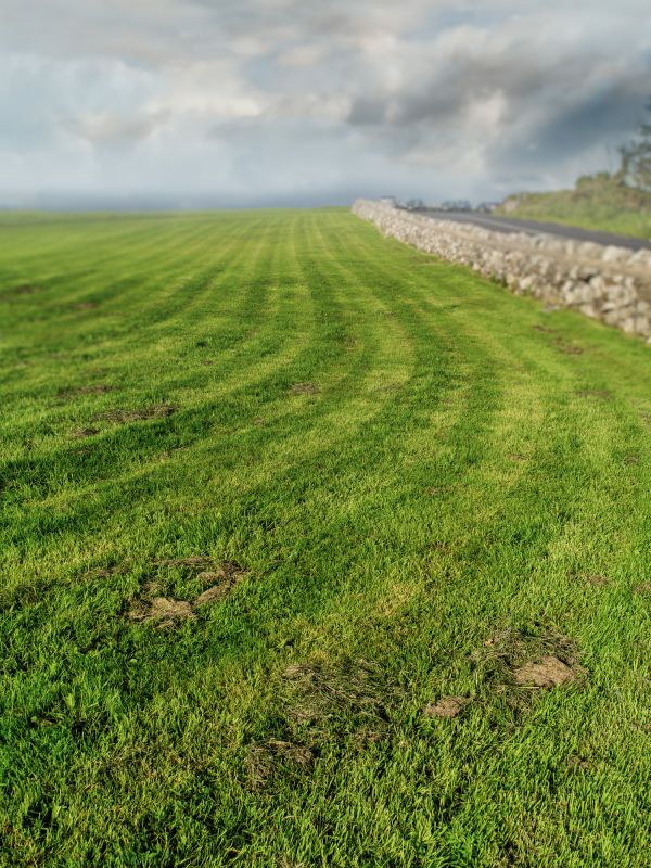 Brush Mowing Service in Waldorf, MD